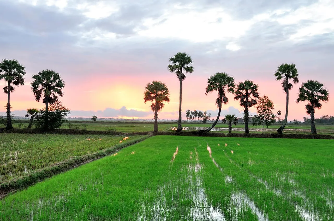 Cambodia Experience Cycling Tours 12 Days